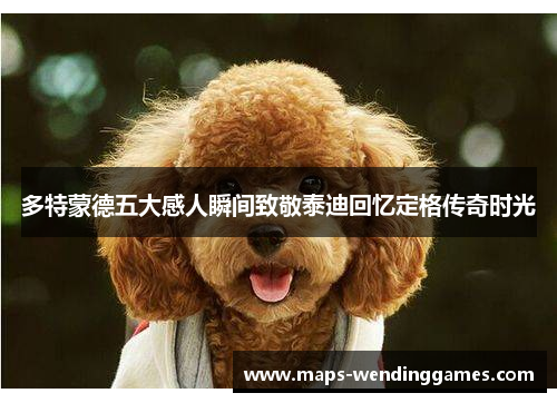 多特蒙德五大感人瞬间致敬泰迪回忆定格传奇时光