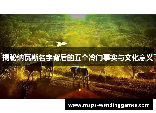 揭秘纳瓦斯名字背后的五个冷门事实与文化意义