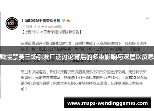魏震禁赛三场引发广泛讨论背后的多重影响与深层次反思